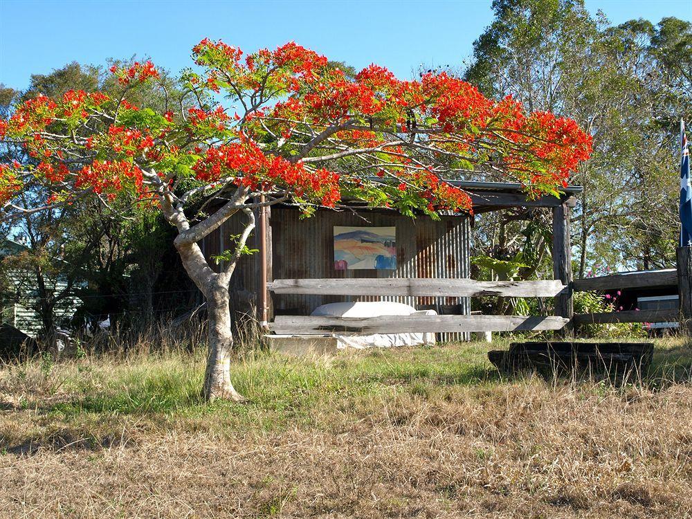 アマムア ロッジ Amamoor エクステリア 写真