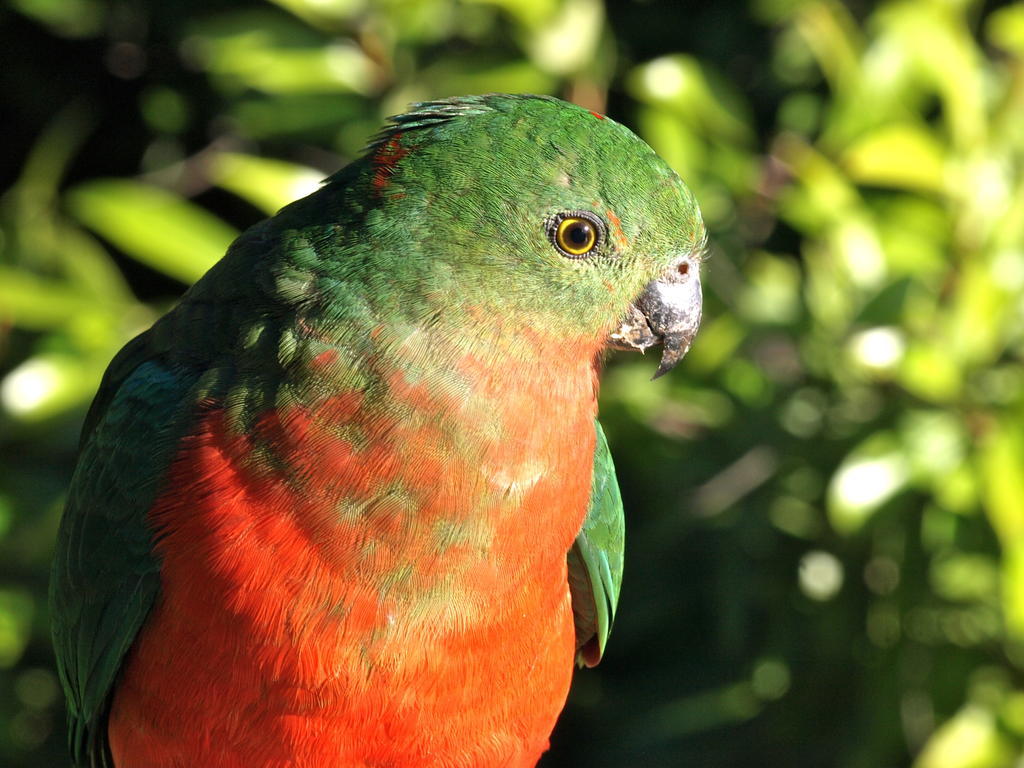 アマムア ロッジ Amamoor エクステリア 写真
